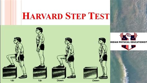 Image result for Harvard Step Formula Class 12