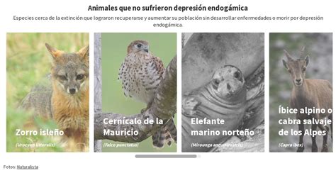 Image result for Threshold Image Using OpenCV
