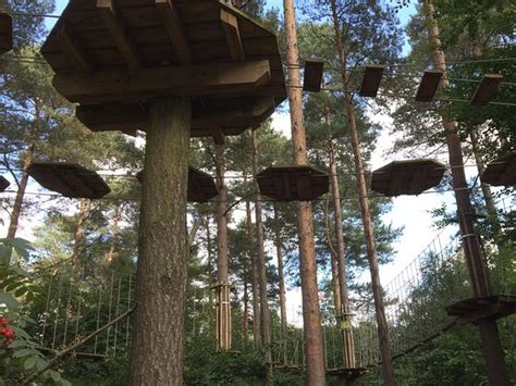 Go Ape Alice Holt (Farnham) - 2022 What to Know Before You Go (with ...