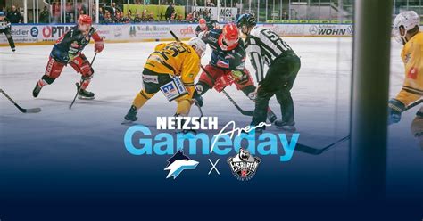 Selber Wölfe vs. Eisbären Regensburg, NETZSCH-Arena, Cheb, 21 January ...