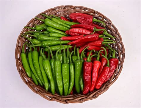 F1 - SSB 756 Chilly Seed | High Yield & Excellent Quality