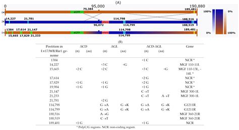The Production of Recombinant African Swine Fever Virus Lv17/WB/Rie1 ...