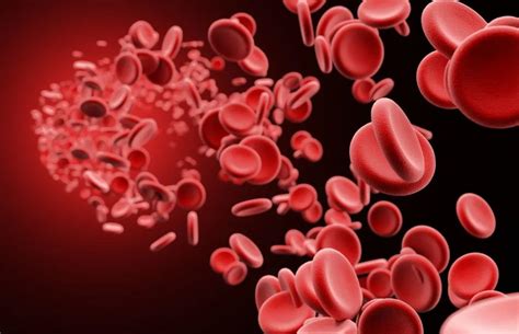 将O型血输给其它血型，其它血型的体内是否就会有了O型血？ - 知乎