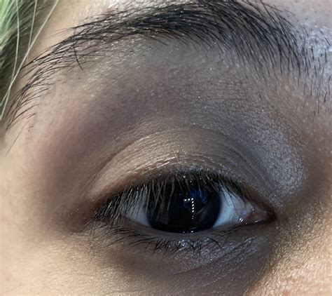 E.L.F Enhancing Lash and brow serum review – The Olive Unicorn Beauty ...