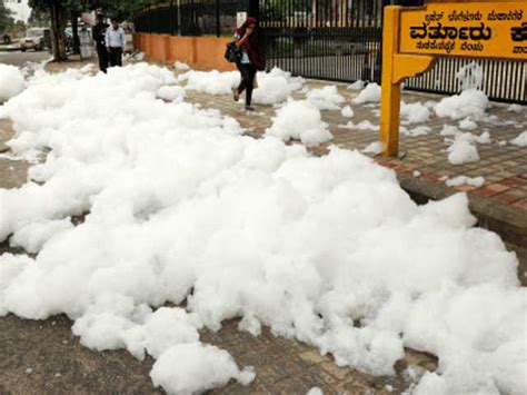 Authorities' negligence - Varthur Lake: After heavy rain, chemical ...