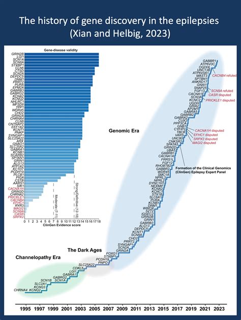 The history of epilepsy genetics | Beyond the Ion Channel
