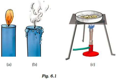 Image result for Class 6 Science Chapter Explain