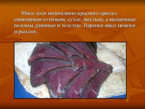 Мясо лося: польза и вред лосятины, чем полезно и опасно, калорийность ...