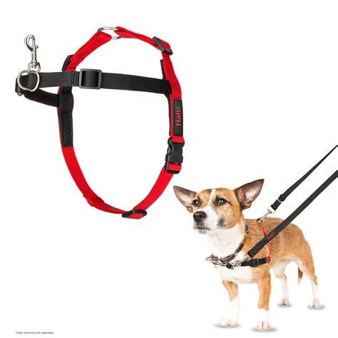 How To Use Harness Dog
