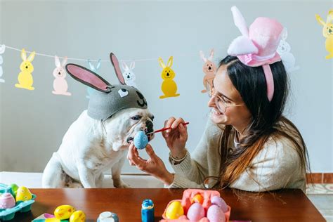 Spring Holiday 的图像结果