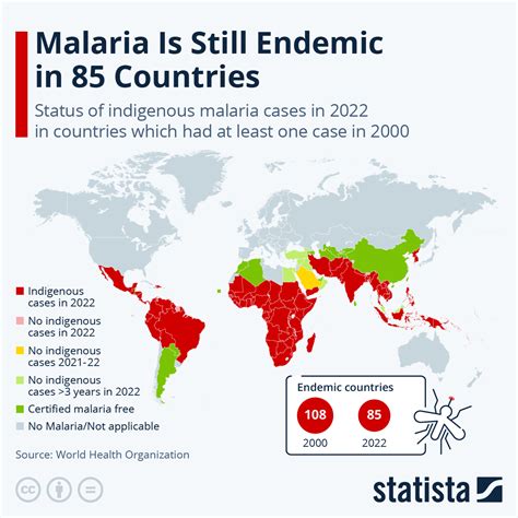 04.06.24 - Welt: Malaria in 85 Ländern endemisch
