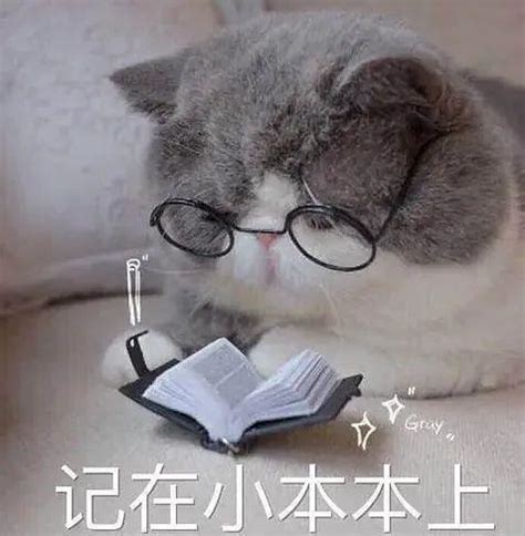 Fluentd Tutorial 的图像结果