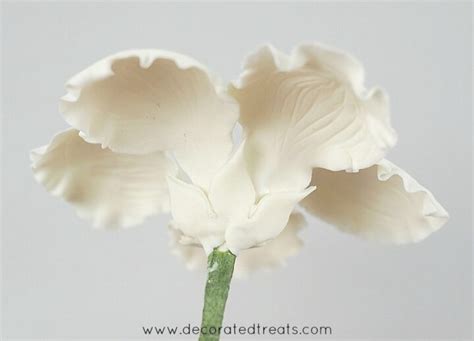 Image result for Gumpaste Hibiscus Tutorial