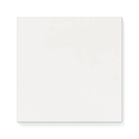 Palmer 12x12 Matte Porcelain Tile in White