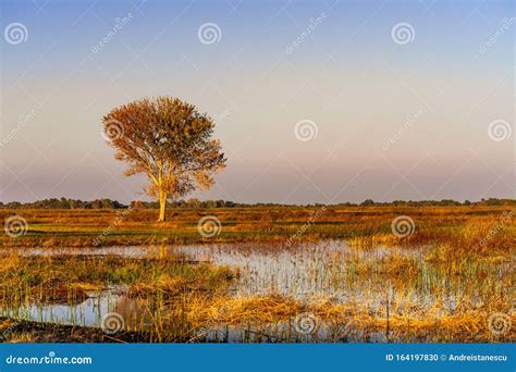 Sunset View of the Wetlands of San Luis National Wildlife Refuge ...