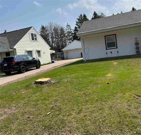 Image result for Tree Top Tree Service