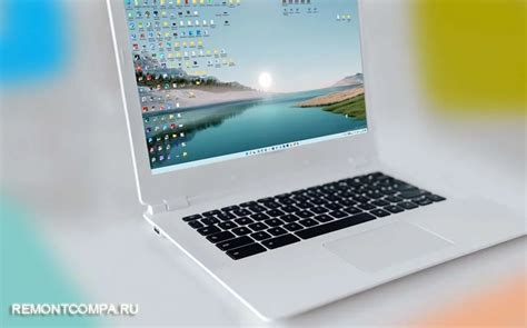 BFSVC Error 的图像结果