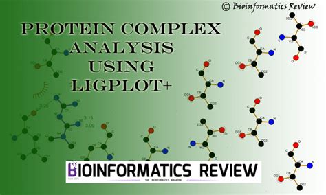 Image result for Ligplot Online Server