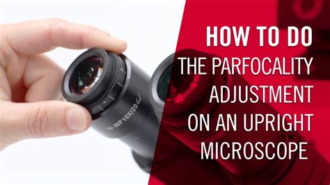 How to Make Microscope Parfocal 的图像结果