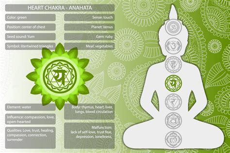 The Heart Chakra and Its Green Color Meaning | Color Meanings