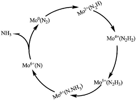 Progress in Synthesizing Analogues of Nitrogenase Metalloclusters for ...