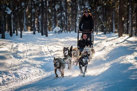 Timetravels - Rovaniemi | Tripadvisor