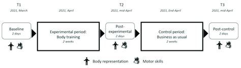 Procedure 的图像结果