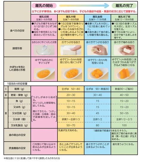 Image result for Algorithm Designs Instructions Paper