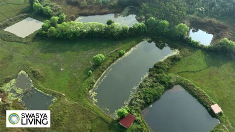 Land Investment Tips in India: Your Guide to Growing Wealth from the ...