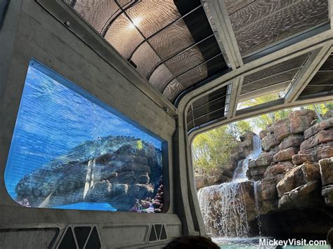 Which is the Best Disney World Park? 2025 Parks Ranked