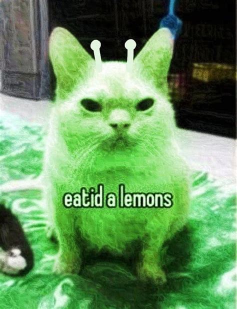 Alien Language Meme 的图像结果