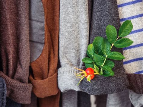 Sustainable Fabric Options for the US Fashion Market