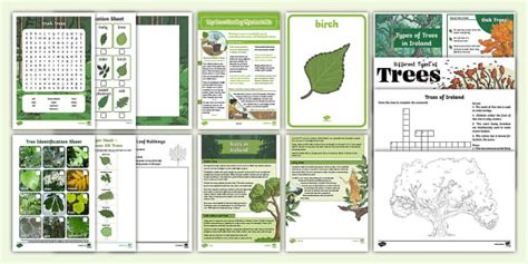 National Tree Week (Resource Pack)