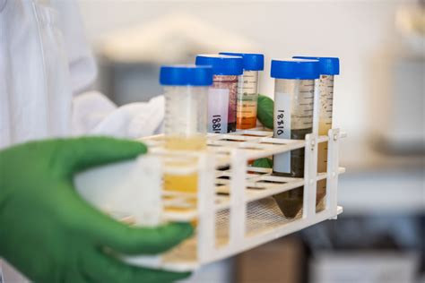 Image result for Food Testing Powder