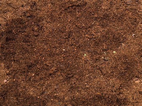 Clay soil Images - Free Download on Freepik