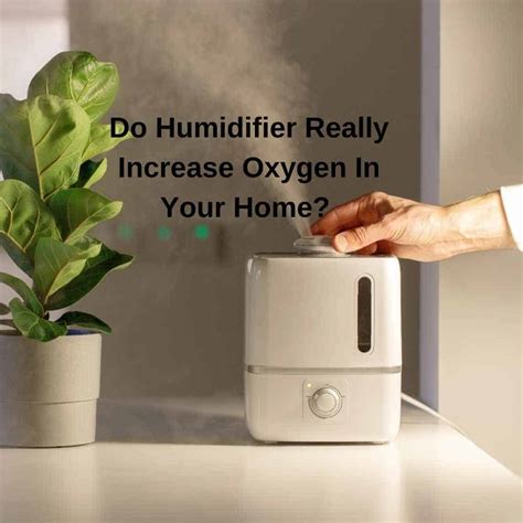 Does A Humidifier Help With Walking Pneumonia at Vaughn Josephs blog