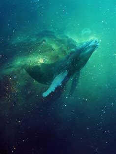 Cosmic Whale - By Shaun Doogan (Me) : ImaginaryLeviathans