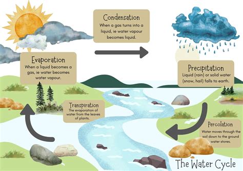 Water Cycle Poster Activity at Judith Steele blog