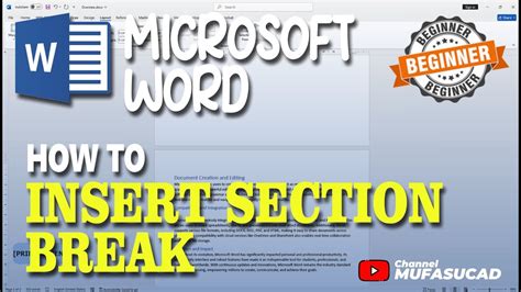 Microsoft Word How To Insert Section Break - YouTube
