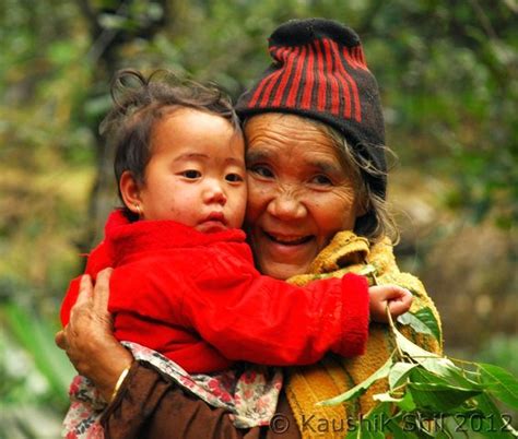 Cumulative Impact Assessment Study of Siang Basin in Arunachal Pradesh ...