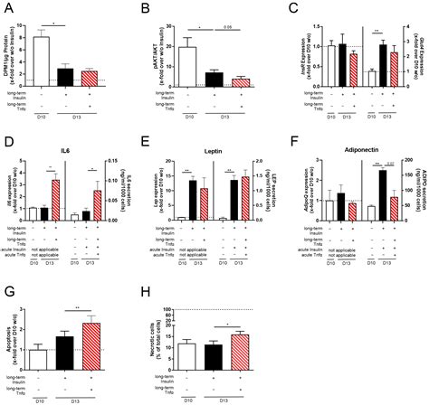 A Pathophysiologically Hypertrophic 3T3-L1 Cell Model—An Alternative to ...