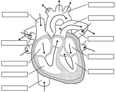 Image result for Heart Rate Sensor Raspberry Pi
