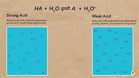 Strong Acids And Bases