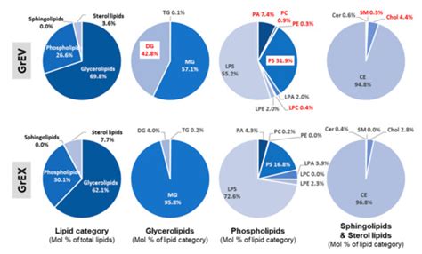 Panax ginseng-Derived Extracellular Vesicles Facilitate Anti-Senescence ...