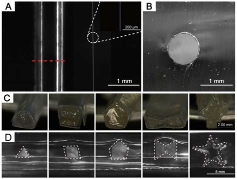 Fabrication of 3D PDMS Microchannels of Adjustable Cross-Sections via ...