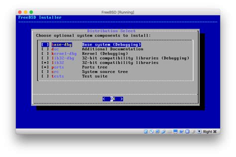 FreeBSD Tutorial Video 的图像结果