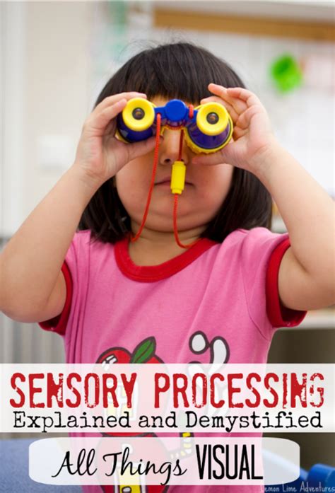 Visual Processing Examples 的图像结果