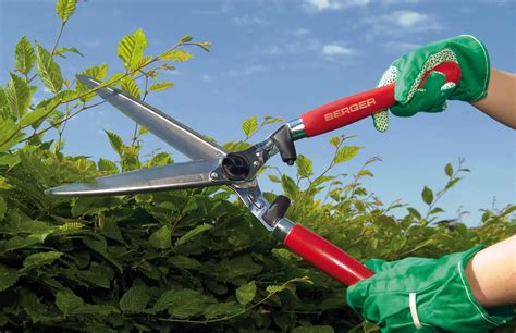 Loppers and Hedge Shears - KC Tool