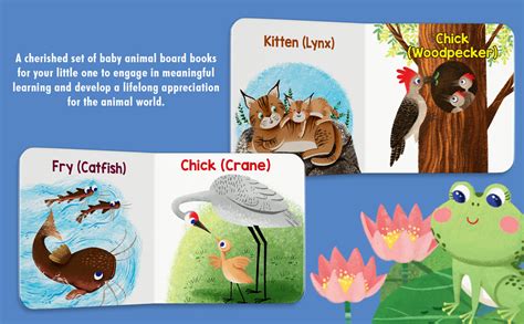 My First Baby Animal – Boxed Set of 5 Board Books: On the Pond, In the ...