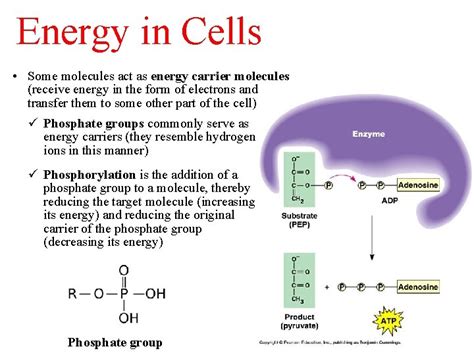 Energy Molecule 的图像结果